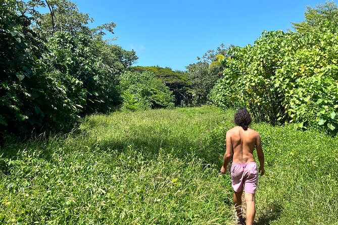 Secret Jungle Tide Pool - Short Hike - Private - Booking and Pricing Information