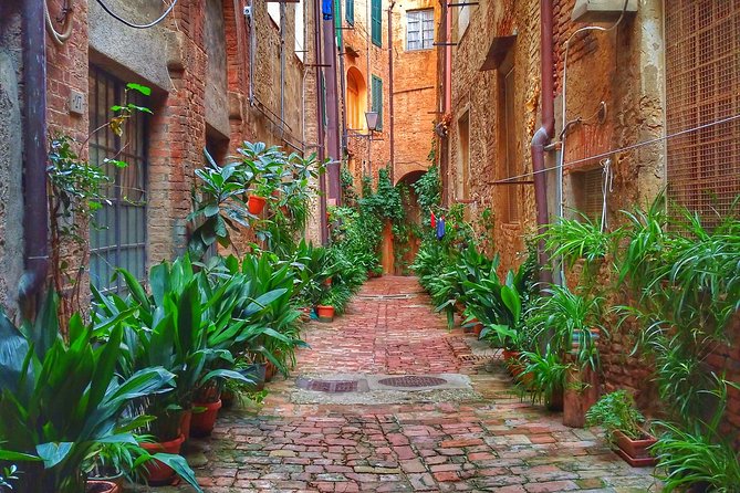 Secret Siena Walking Tour - Unique Photography Opportunities