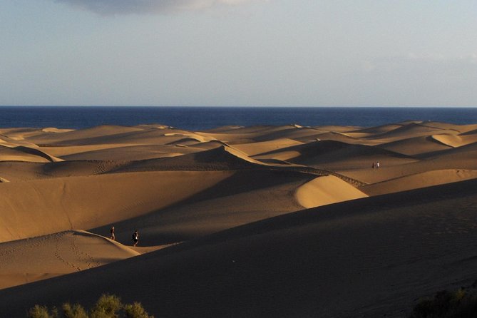 Segway Sunset or Morning Experience: Maspalomas Dunes, S. Agustin - Additional Information