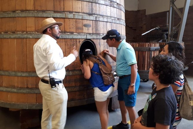 Semi-Private Premium Wine Tour at Santa Rita Winery - Sensory Experience