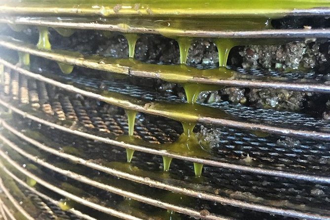 Semi Private Wine and Olive Oil Tour (Transfer & Lunch Incl.) - Enjoying the Local Lunch