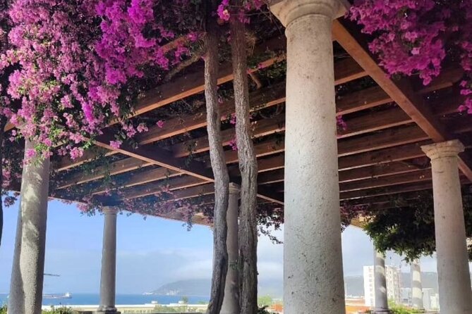 Setúbal Private Walking Tour Off-the-Beaten-Path - Guest Reviews