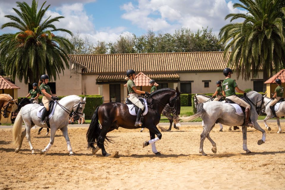 Seville: Horse Show Entry Ticket. Optional Stud Farm Visit - The TRADITIONS Show Finale