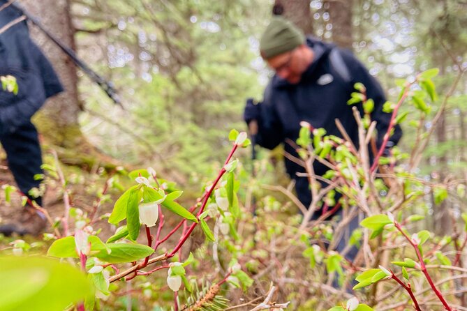 Seward Wilderness Hiking - Tips for a Great Hiking Experience