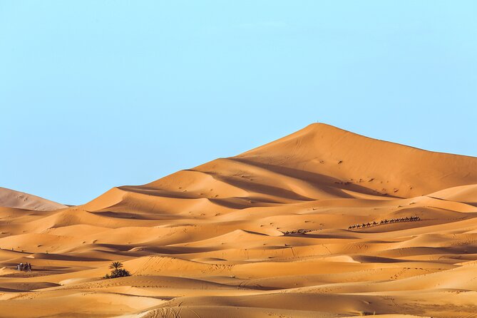 Shared Group Desert Tour Fes To Marrakech Via Merzouga 3 Days - Traveler Reviews and Recommendations