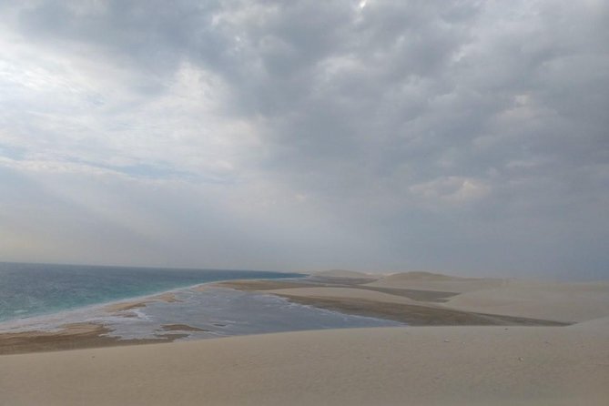 Sharing or Private Safari, Sand Boarding, Camel Ride, Inland Sea Quick Swim - Traveler Testimonials and Ratings