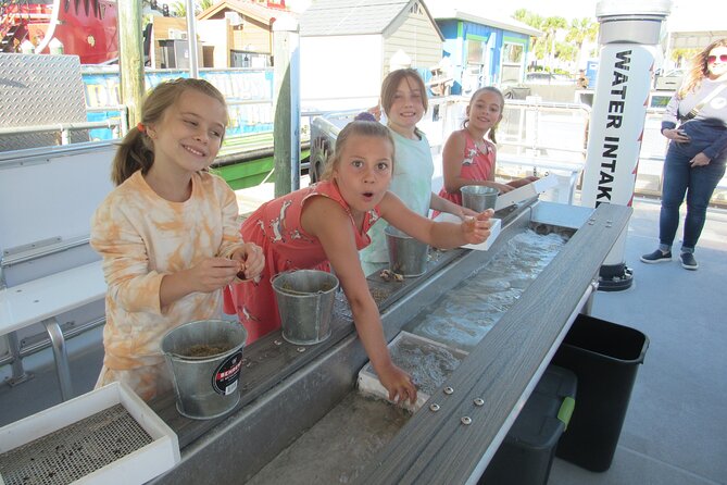 Shark Teeth and Shells, Dolphin and Shelling Tour Boat Clearwater Beach - Recommendations for Families