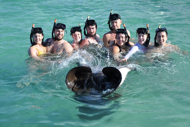 Sharks & Stingrays Encounter and Small Boat Ride From Punta Cana - Booking and Cancellation Policies
