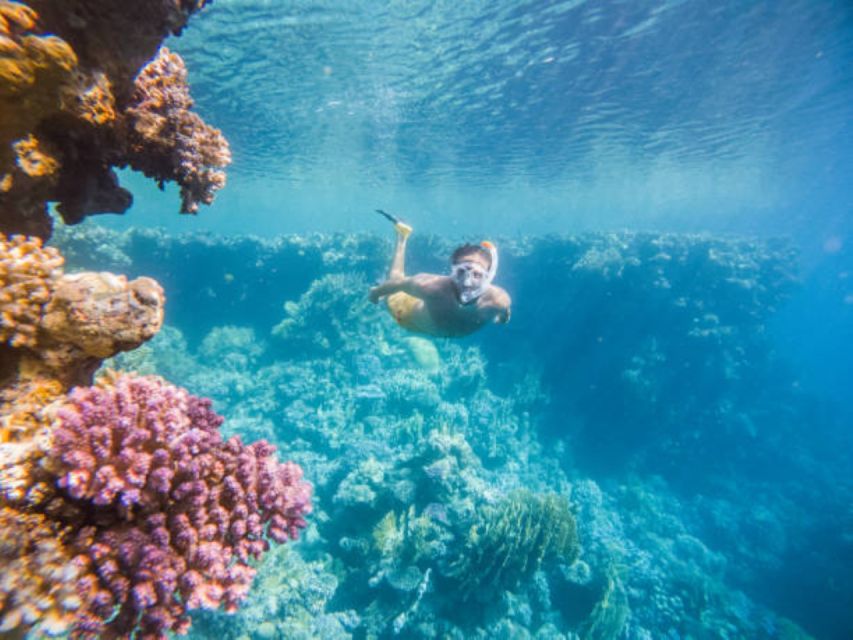 Sharm El Sheikh: Luxury Boat Cruise With Snorkeling & Lunch - Lunch Onboard the Yacht