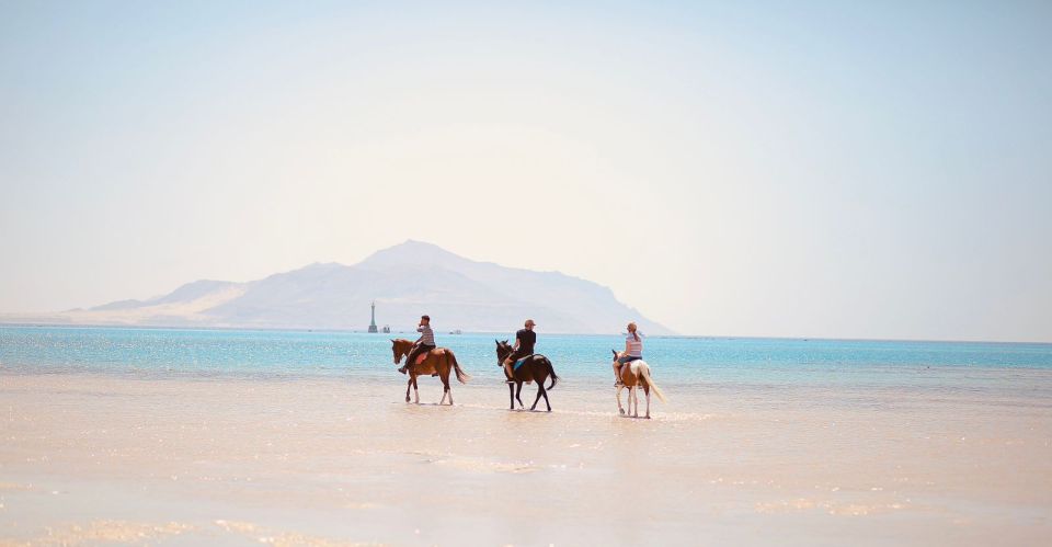 Sharm El Shiekh: Beach and Desert Horse Riding Tour - Preparation Tips