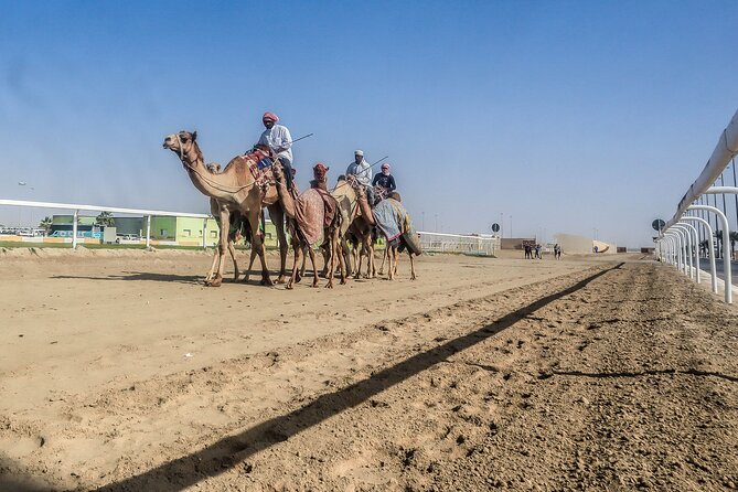 Sheikh Faisal, Camel Race Track Visit - Pickup and Dropoff Arrangements