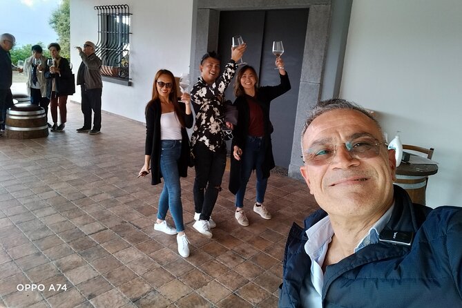 Shore Excursion Naples City Tour, Pompeii & Winery Cantina Del Vesuvio - Additional Support