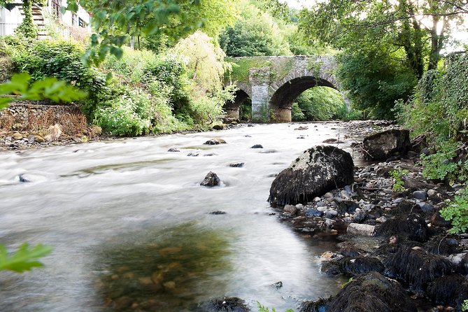 Shore Excursion: Wicklow Mountains, Avoca & Glendalough Rail Tour - Booking Information