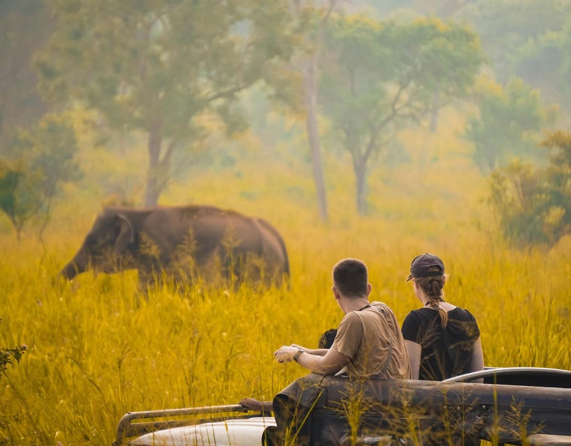 Sigiriya Rock and Minneriya Safari With Elephant Sighting - Immersive Experience