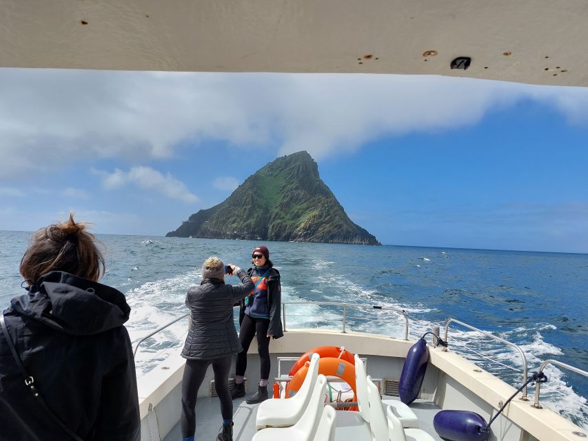 Skellig Michael: The Ultimate Skellig Coast Tour - Wildlife Viewing Opportunities