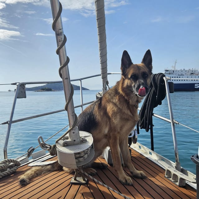 Skiathos Private Tours :Sailing Day With Lunch on Board, - Crew and Accessibility