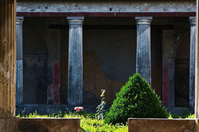 Skip the Line Full Day Tour of Pompeii Through the Ancient Domus - Unraveling Pompeiis Captivating History