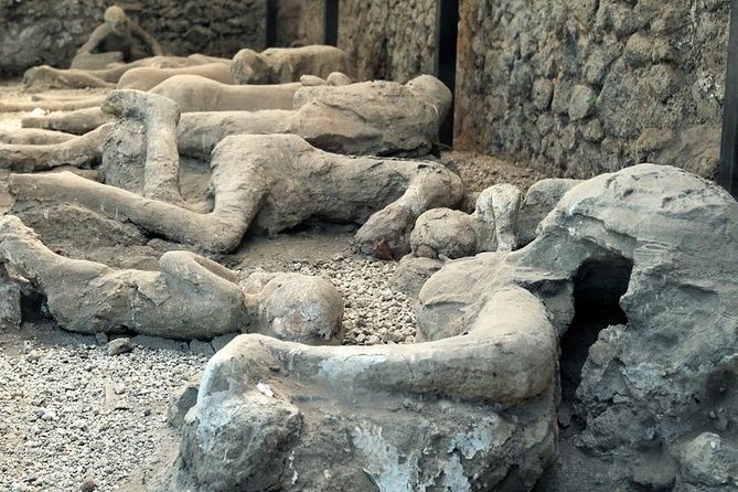 Skip the Line Private Pompeii Guided Tour - Flexible Scheduling Options