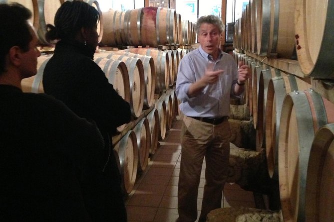 Small-Group Half-Day Languedoc Wine and Olive Tour From Montpellier - Scenic Drive Through Vineyards and Olive Groves