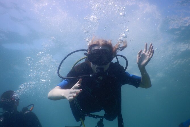 Small-Group Introductory Scuba Diving in Pula - Marine Life Encounters