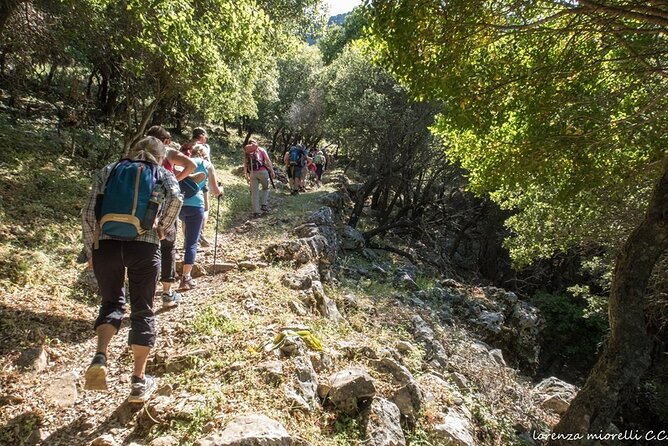 Small Group Sunset Hiking From Salakos to Profitis Ilias - Explore Rhodes Landscapes