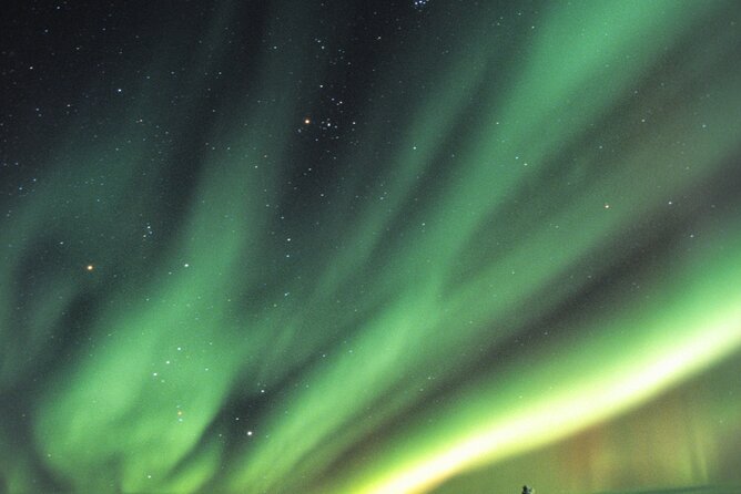 Small Group Yukon Aurora Viewing - Tour Highlights