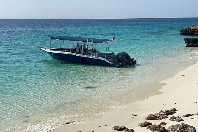 Snorkeling Adventure to Daymaniat Islands - Environmental Commitment