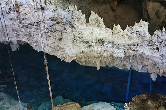Snorkeling in the Cenotes of Bayahibe - Important Considerations