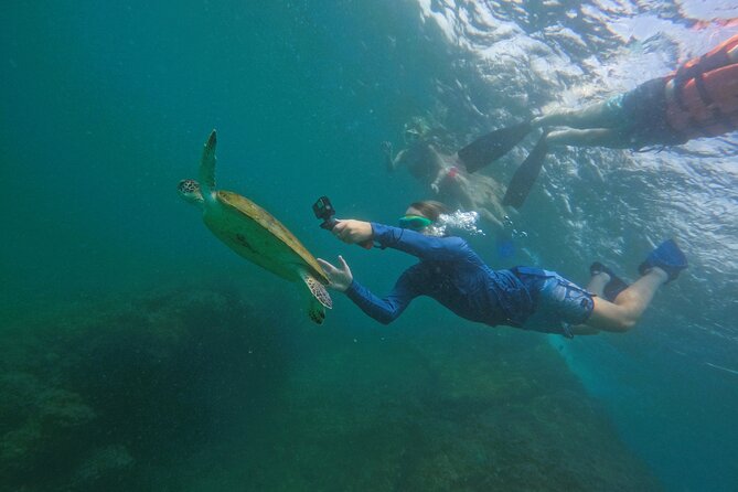 Snorkeling With Turtles in Fujairah With Transfer & BBQ Lunch - Booking and Cancellation Policy