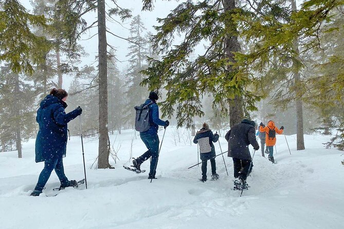Snowshoe Tour in Winter Wonderland - Oslo - Wildlife and Nature Insights