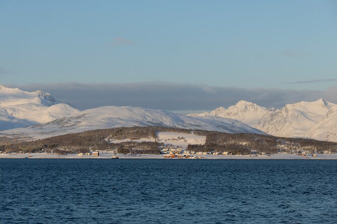 Sommarøy Arctic Day Trip - Culinary Experience and Accessibility