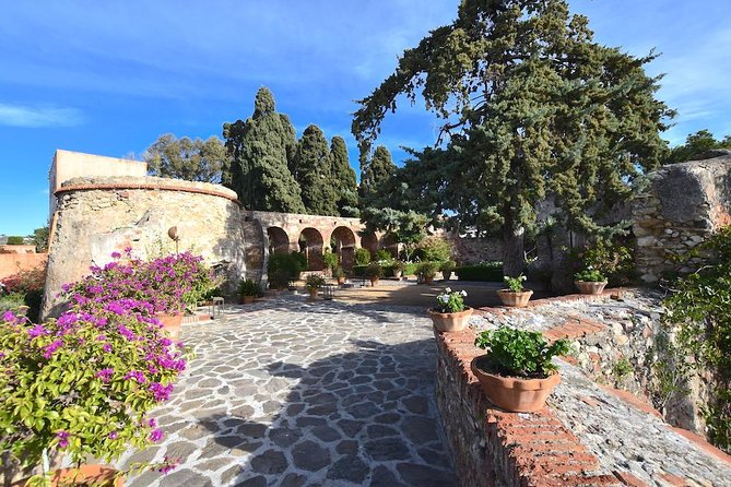 Spanish Civil War Private Walking Tour in Malaga - Accessibility and Physical Requirements