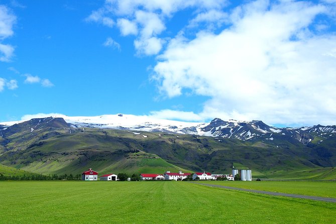 Spectacular South Coast Iceland Private Tour From Reykjavik - Reynisfjara Beach