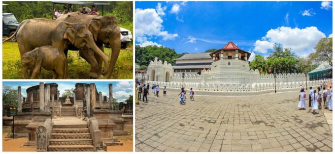 Sri Lanka 3-Day Tour Ancient Temples, Wildlife, Hill Country - Minneriya National Park