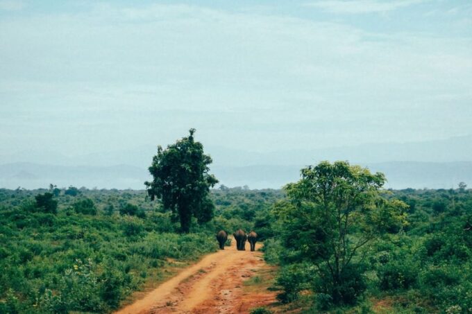 Sri Lanka Full Circle on Beaten Path-4 Days Tour - Cultural and Religious Etiquette