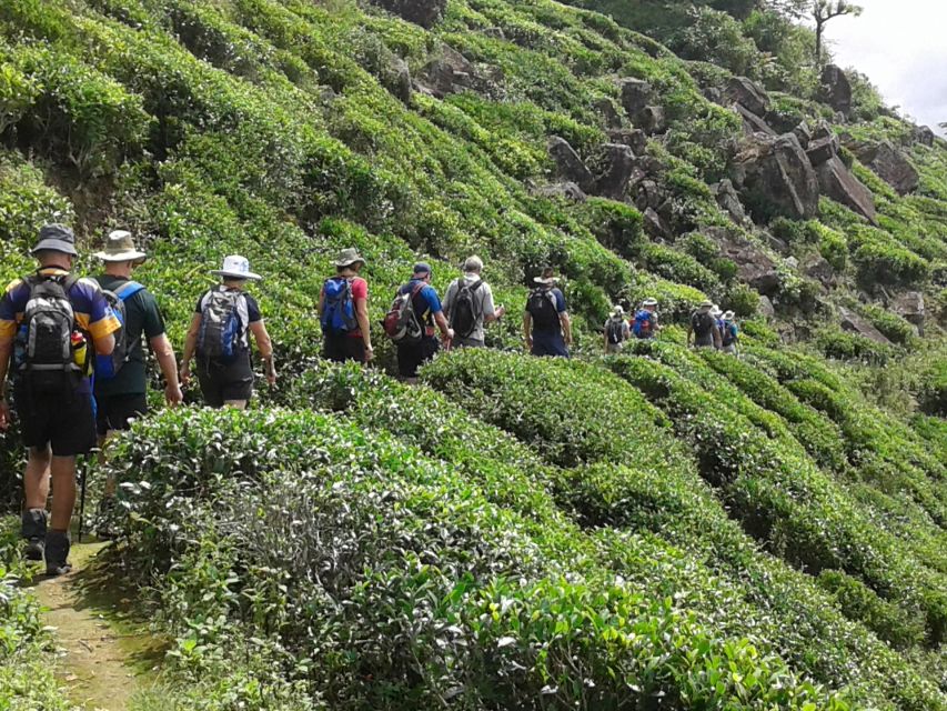 Sri Lanka Holidays With 5 Days Trekking the Pekoe Trail - Sightseeing Highlights