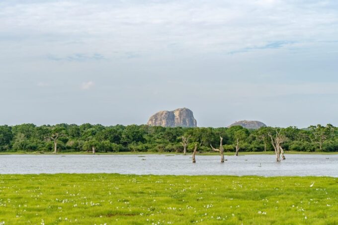 Sri Lanka Jungle Tour 4 Days-Rainforests, National Parks... - Sinharaja Rainforest Trek