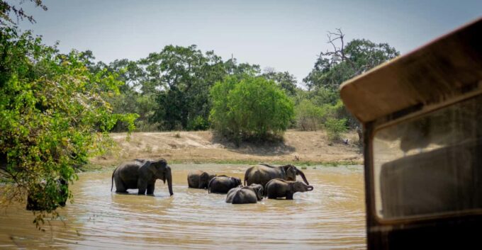 Sri Lanka Rare 4-Day Tour - Cultural Immersion