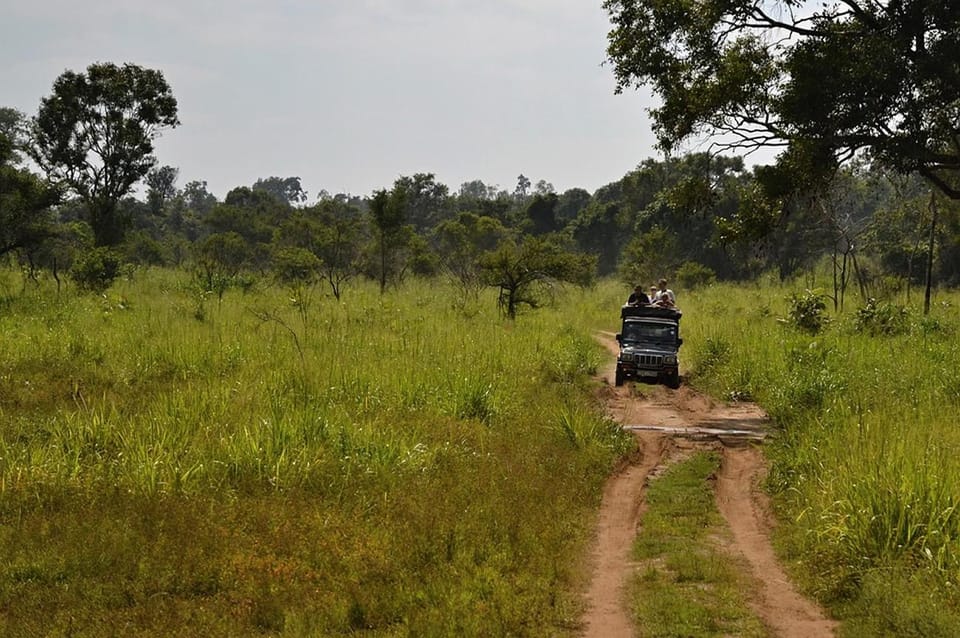 Sri Lanka Retreat, 5 Day Tour - Journey Through the Hill Country