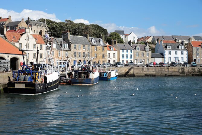 St Andrews & Kingdom of Fife Private Day Tour in Luxury Minivan - Guide Expertise and Service