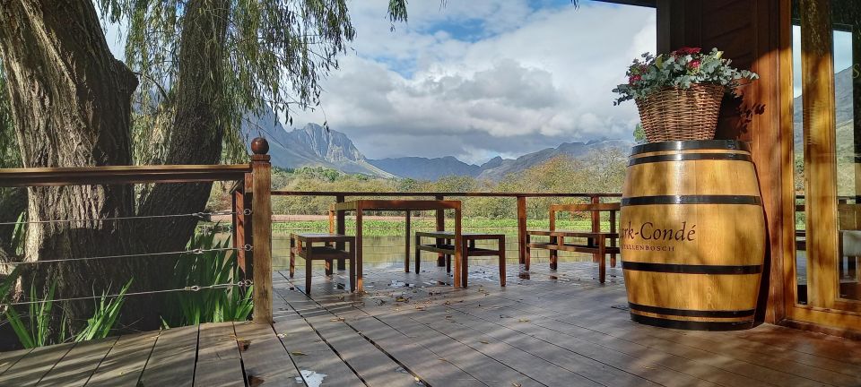 Stellenbosch: Cape Winelands Private Tour Half Day Tour - Visiting Stark Conde Winery