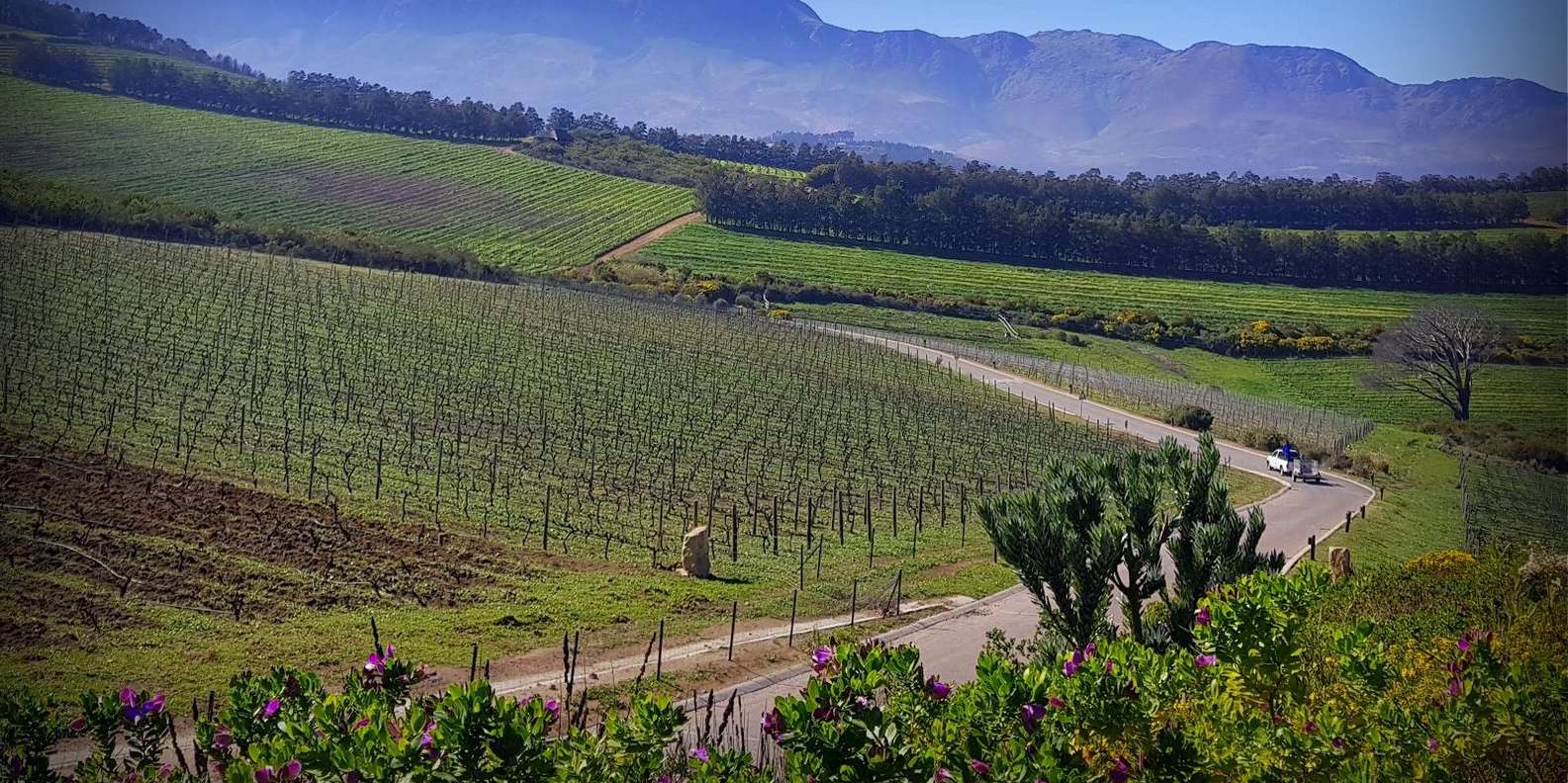 Stellenbosch – Great Wines, Great Views - Customizing Your Experience