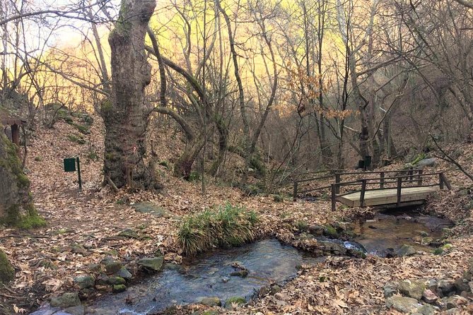 Strumica Monasteries and Waterfalls Tour From Skopje - Booking and Pricing Information