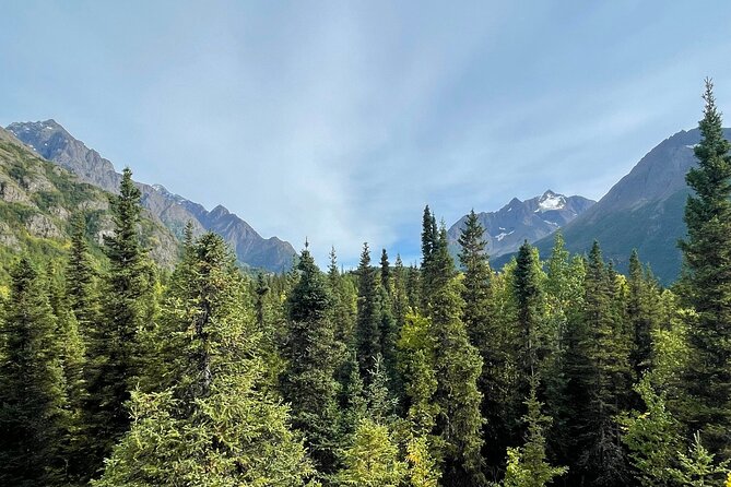 Summer Valley and Forest Hike - Tips for a Successful Experience