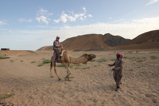 Sunset Camel Ride in Agadir or Taghazout With Transfers - Tips for an Enjoyable Ride