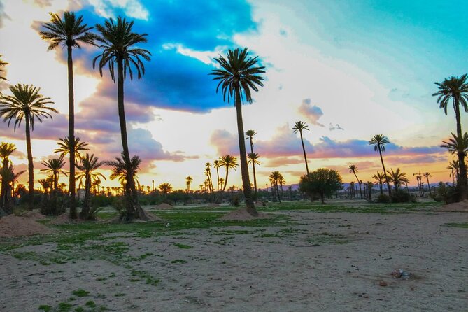 Sunset Camel Ride in the Palm Grove Of Marrakech - Booking and Cancellation Policy
