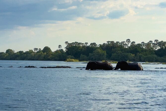 Sunset Cruises on the Zambezi River From Victoria Falls - Local Cultural Aspects