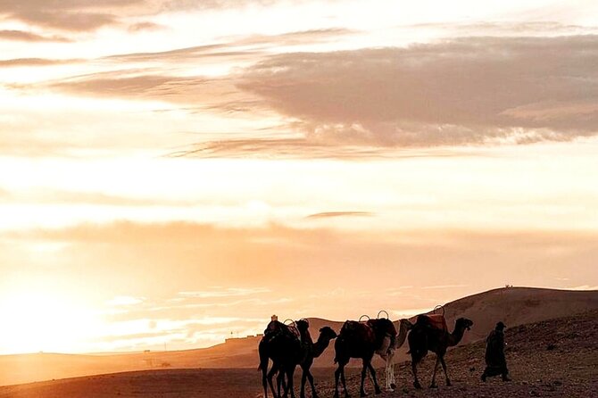 Sunset & Dinner in Desert Agafay Marrakech With Camels - Tips for a Memorable Experience