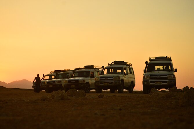 Sunset Safari Trip by Jeep - Planning Your Safari Adventure