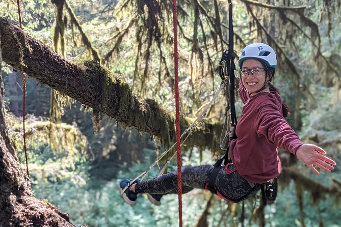Sunset Tree Climb at Silver Falls State Park - Tips for Your Sunset Climb